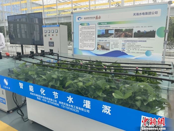 科技润沃土 自动化节水灌溉系统助力农业绿色转型